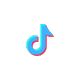 TikTok Icon